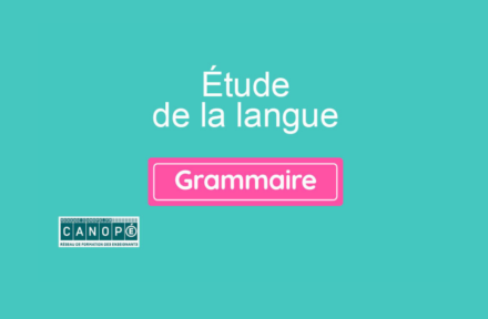 Grammaire / Canopé